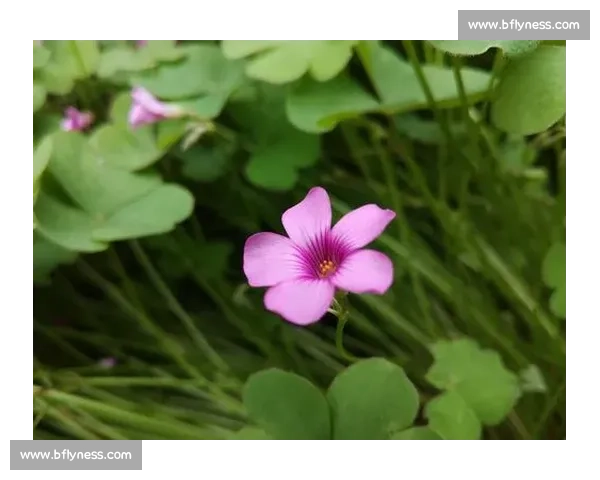 激烈竞争时代下变革力量与人性抉择的深度观察现实社会发展路径研究